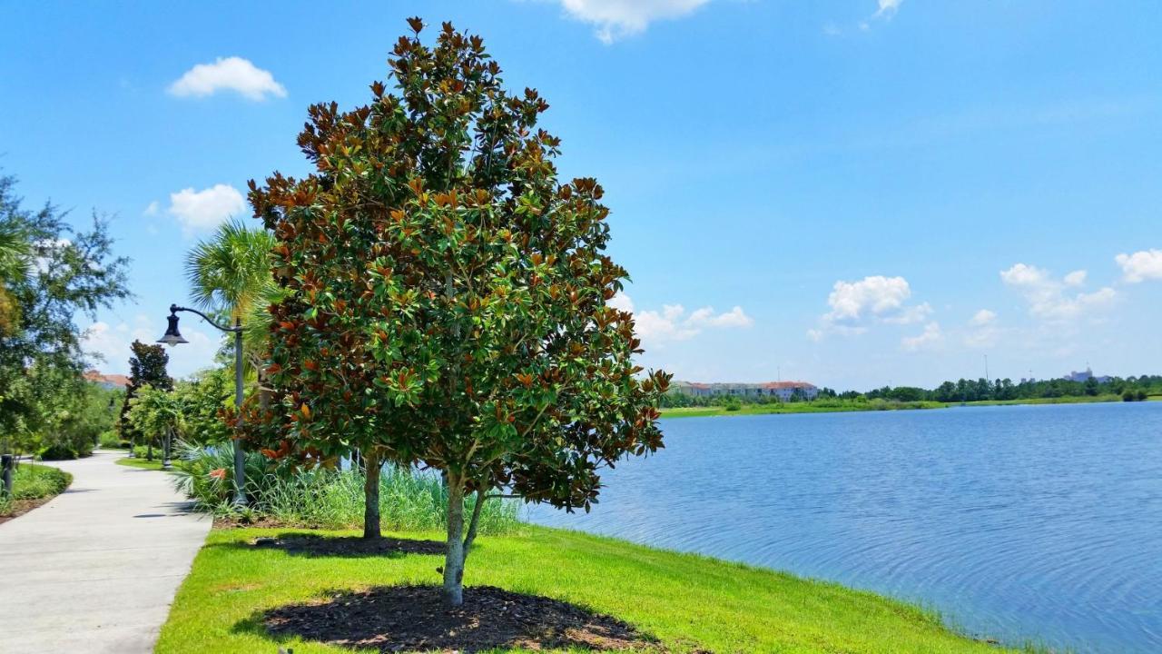 Gorgeous 1St-Floor, End Unit Condo W Lakeview Orlando Buitenkant foto
